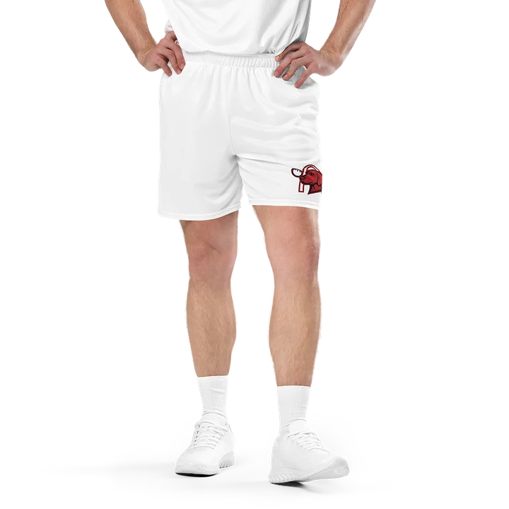 Arch Nemesis White Shorts product image (1)