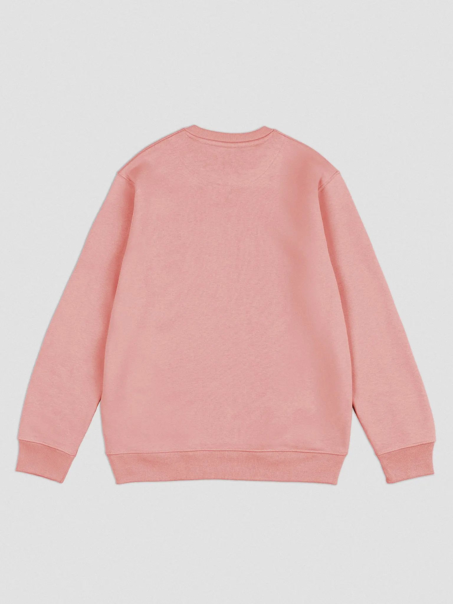 S Bolt Logo Crew Neck - Light product image (3)