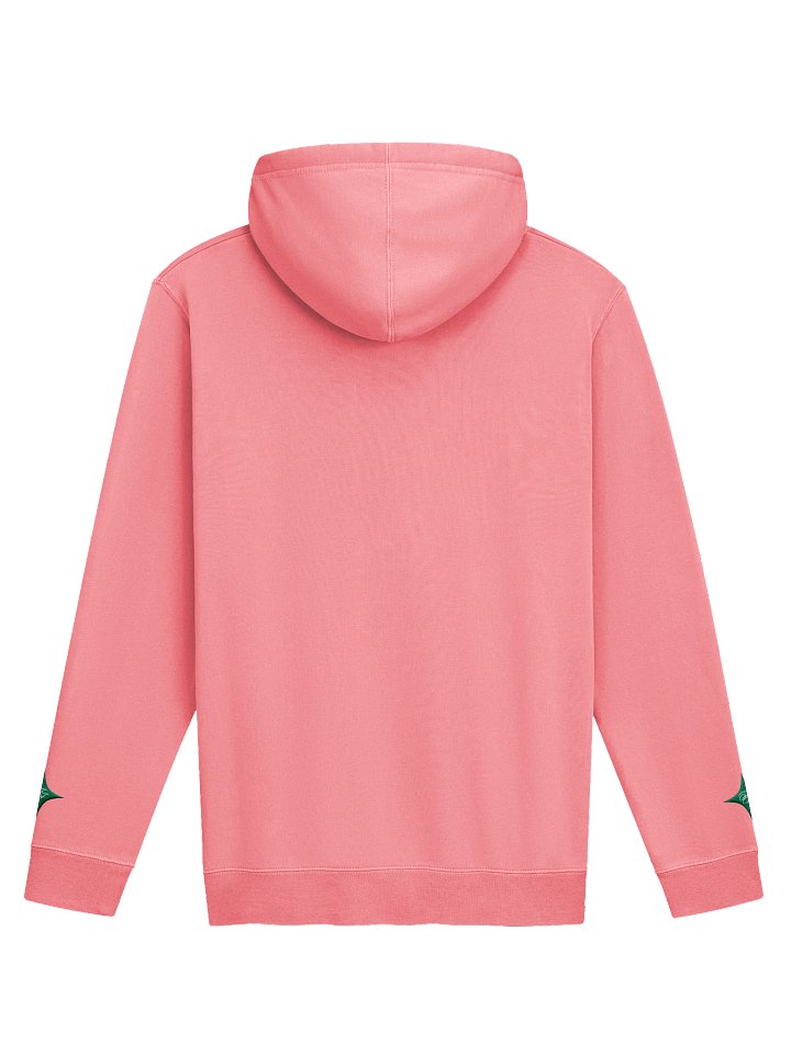 F&F Script Pigment Dyed Hoodie Tournament (PNK) product image (2)