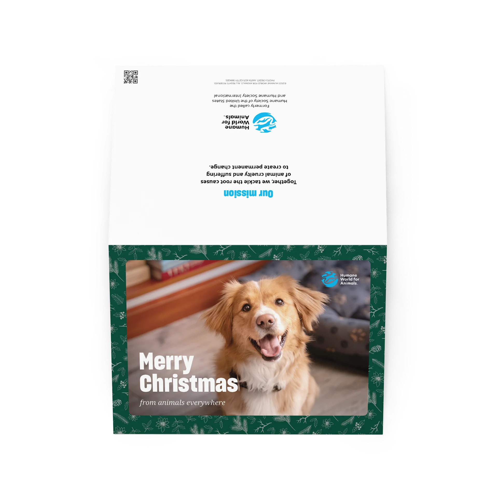Christmas card - Dog design product image (2)