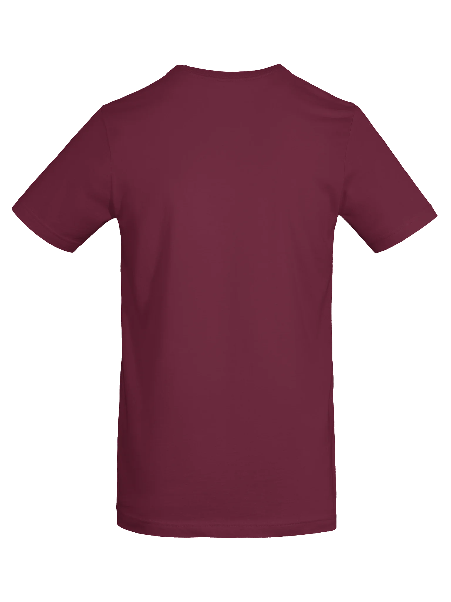 Born to Write. Built to Rise. T-Shirt product image (7)