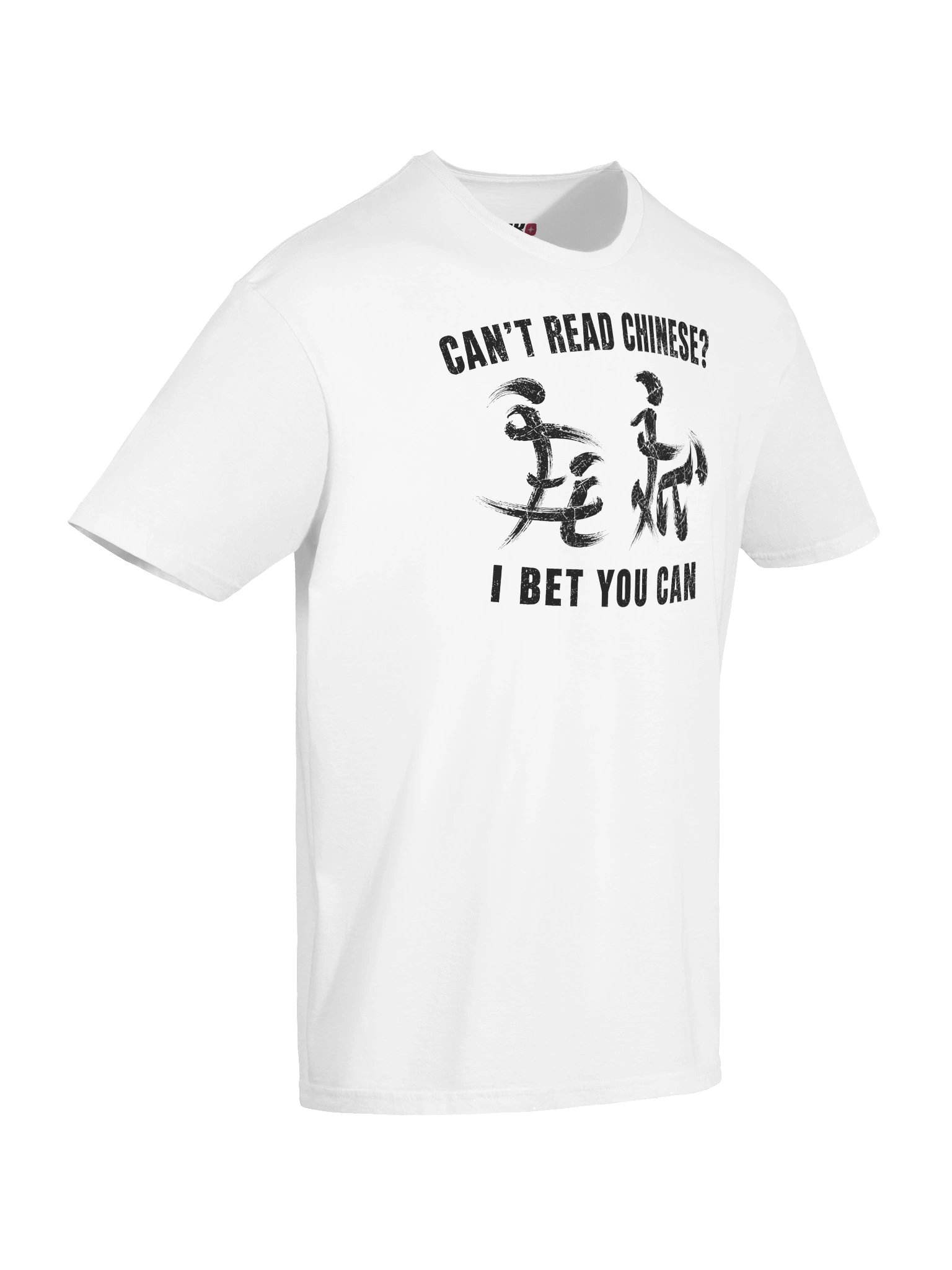 Can’t Read Chinese I Bet You Can Funny T-Shirt product image (37)