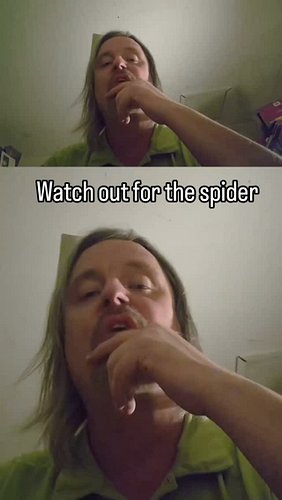 Watch out for the spider