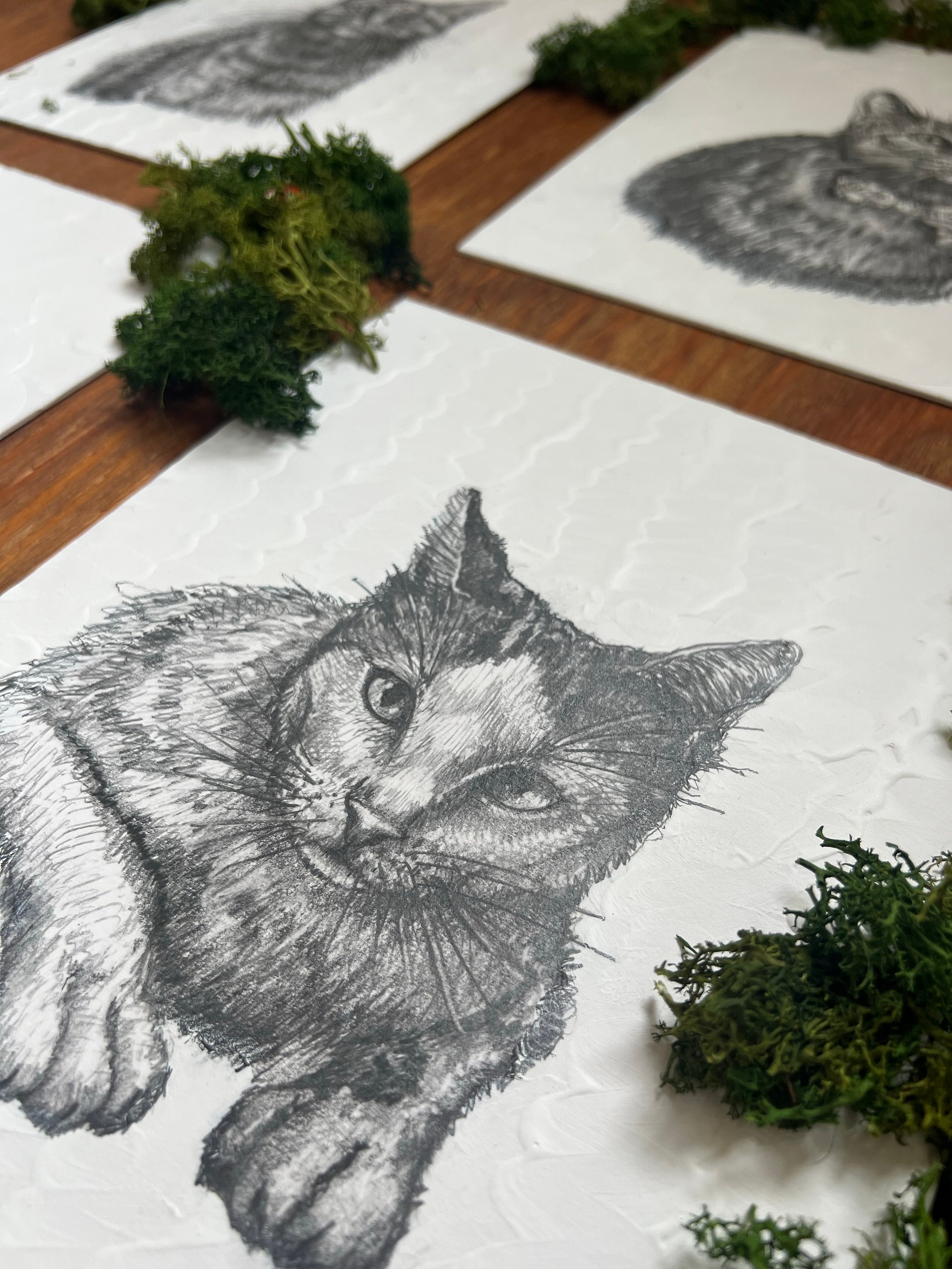 Pet Portrait (Single) product image (5)