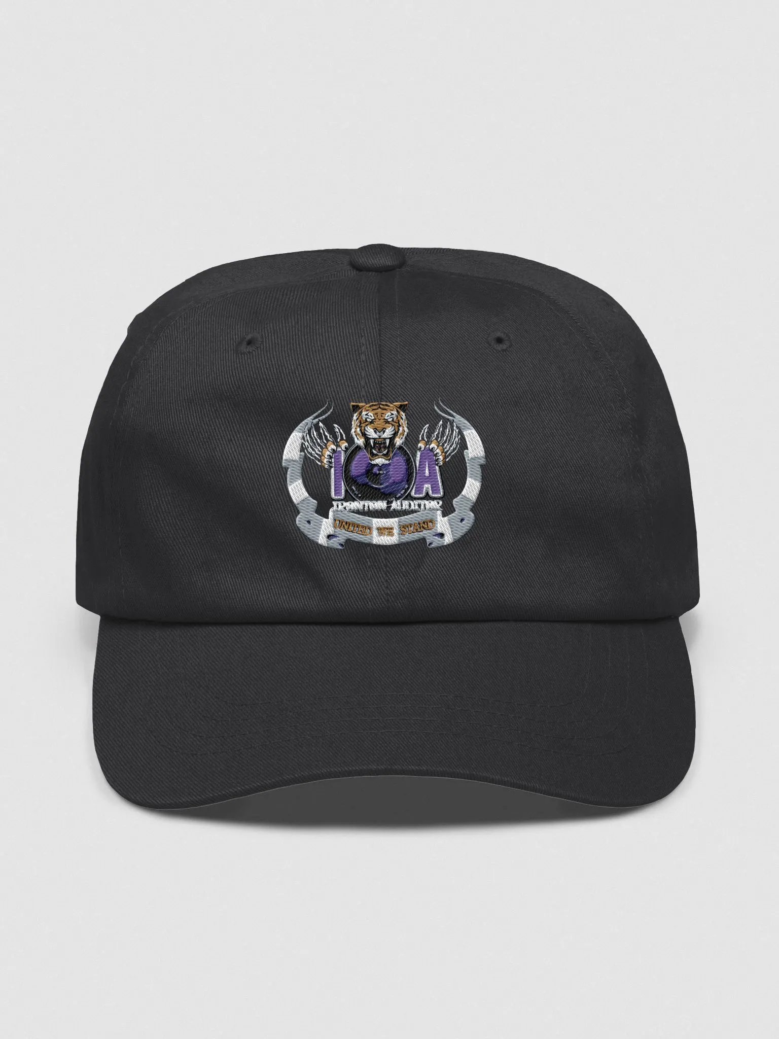 Ironton Auditor Hat product image (1)