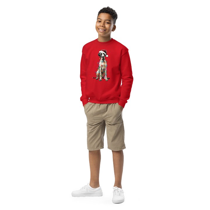 Funny Christmas Great Dane(Harlequin) Youth Sweatshirt product image (1)