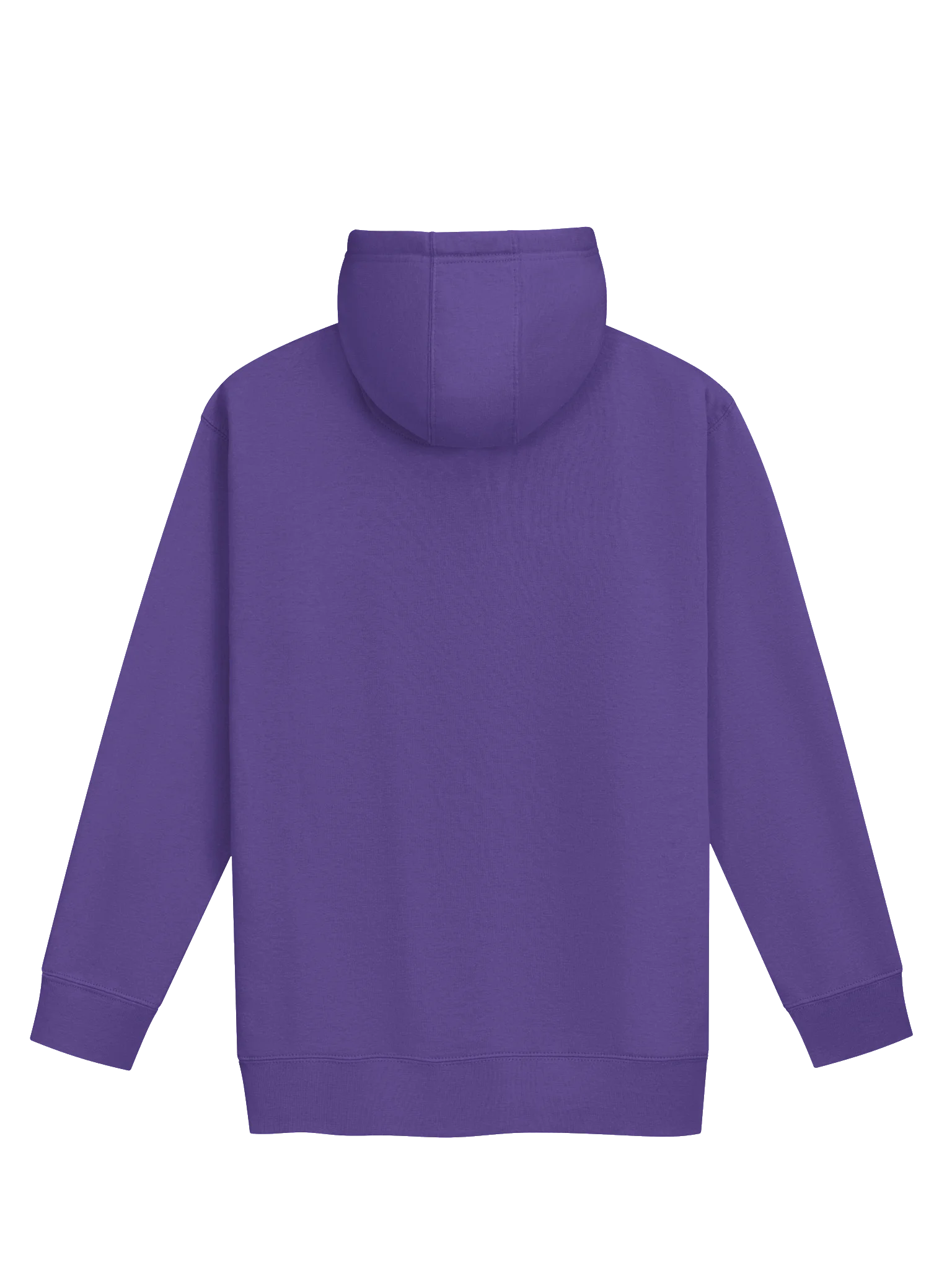 One Rb World 2026 Fiesta Design - Unisex Premium Hoodie product image (2)