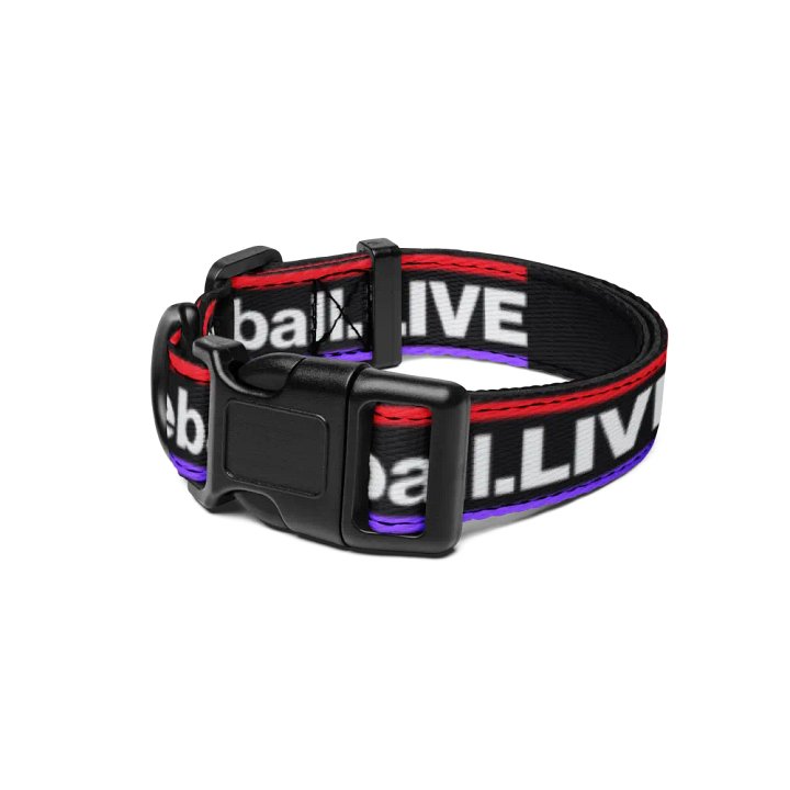 Dodgeball.LIVE Dog Collar product image (1)