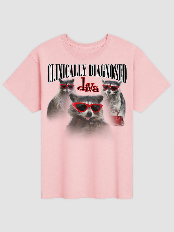 Clinically diagnosed diva - Raccoon T-shirt product image (29)