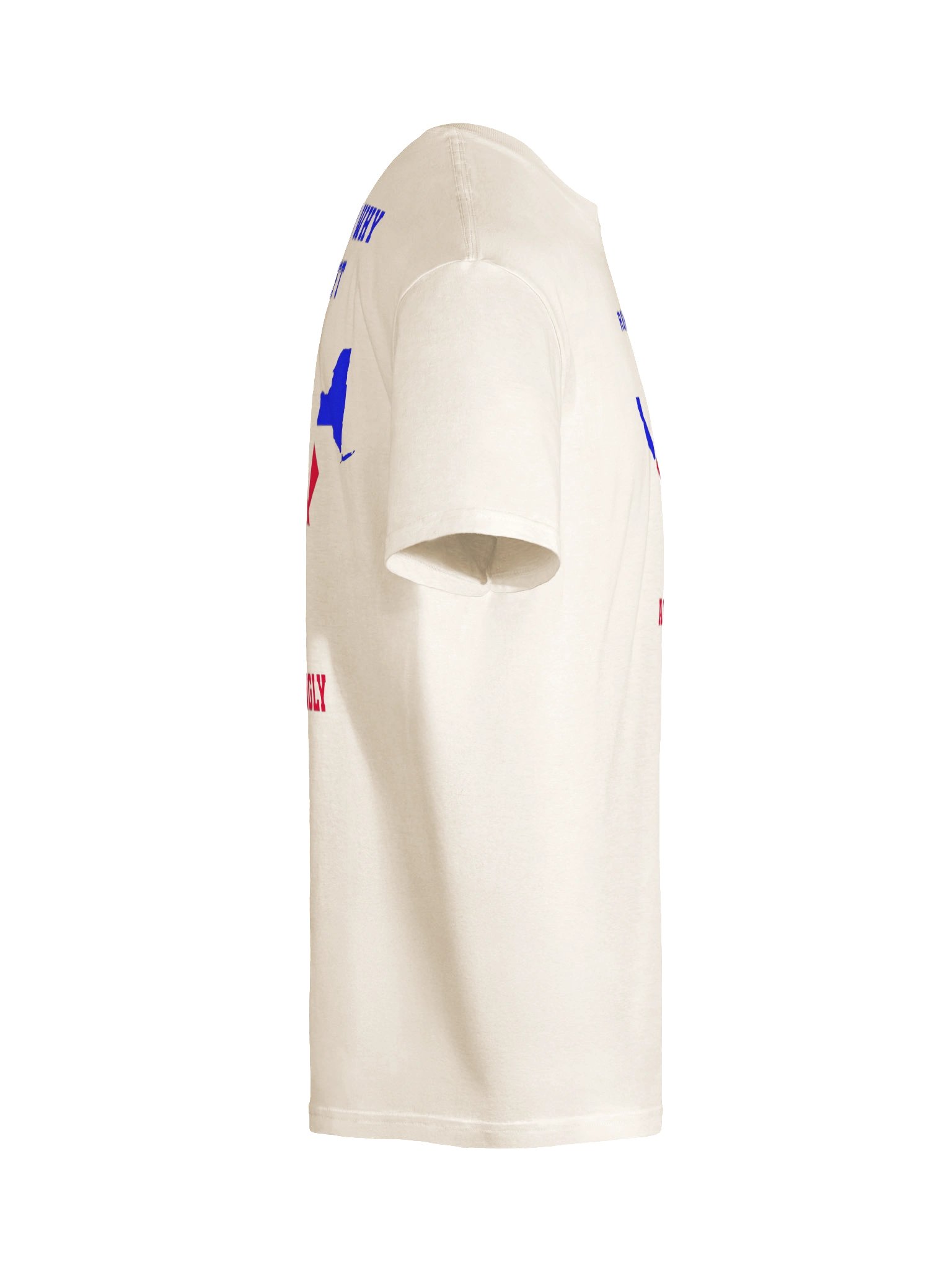 Vote Accordingly Texas product image (10)