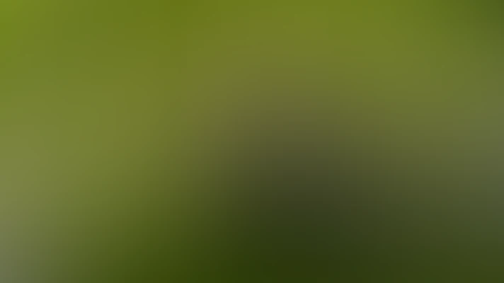 Audio thumbnail background