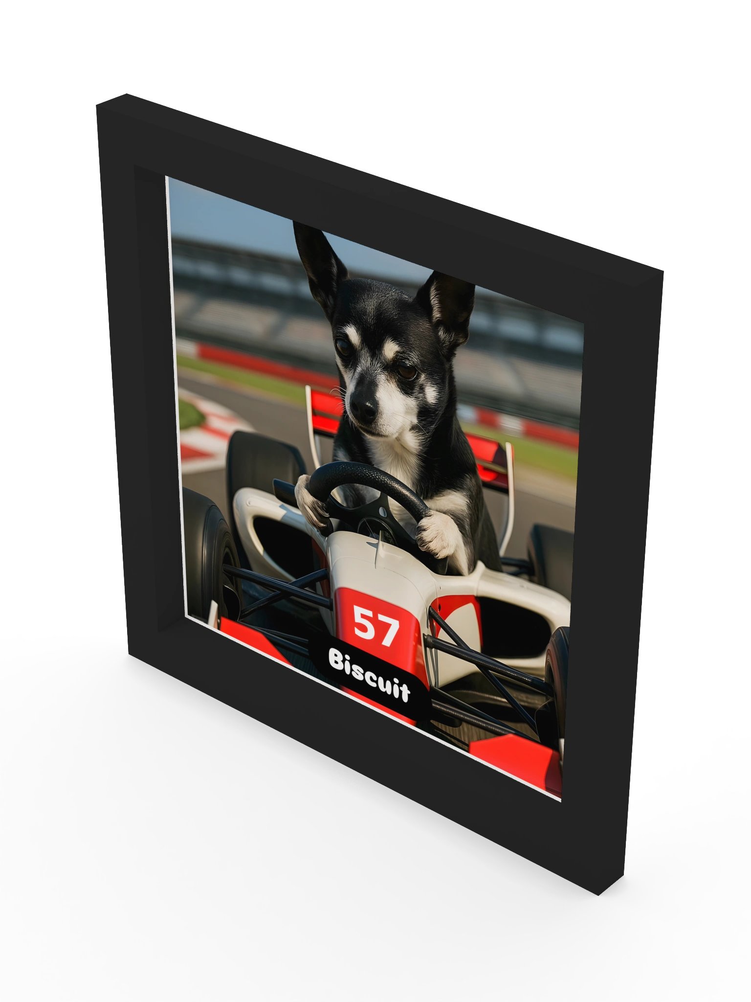 Biscuit at Silverstone product image (5)