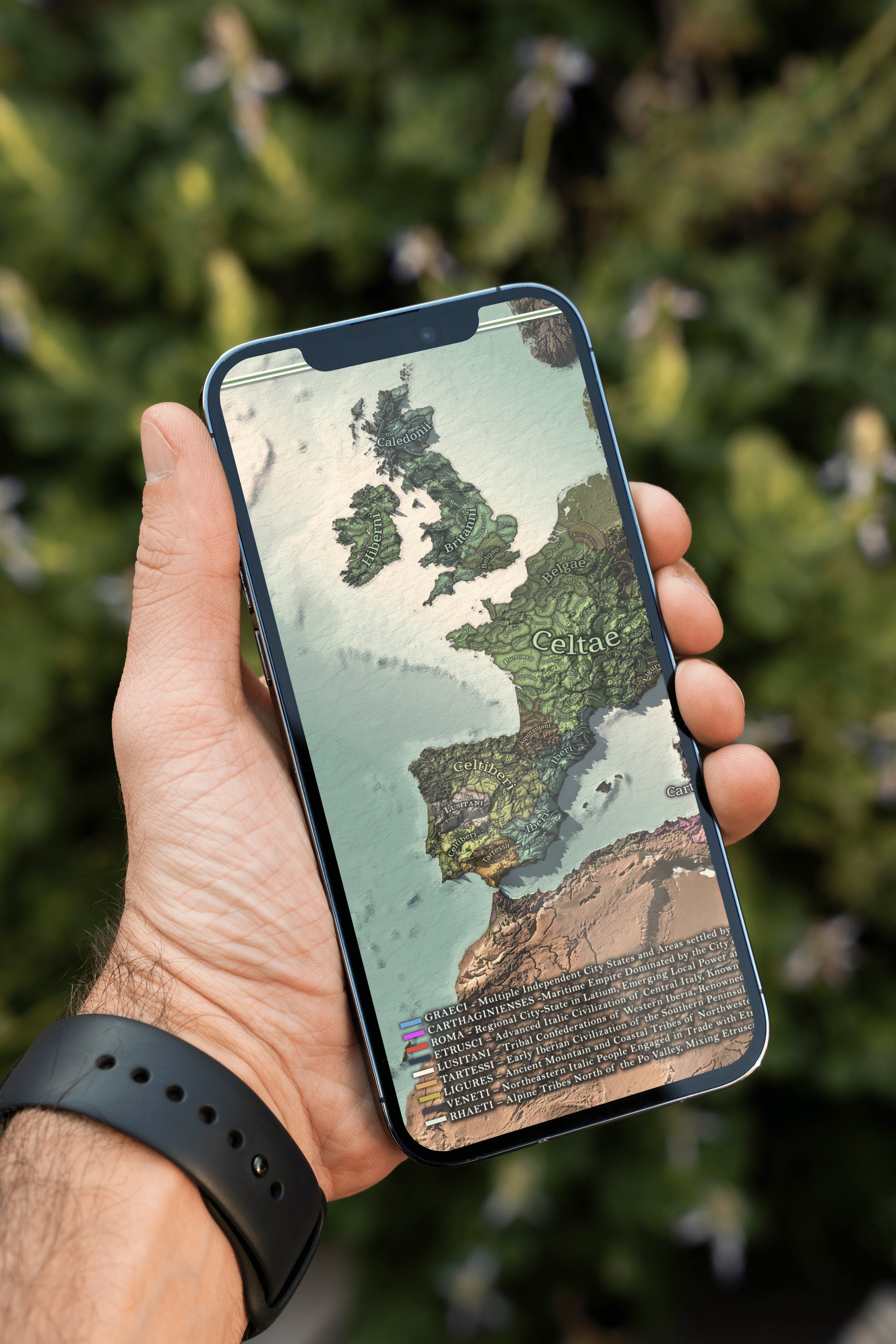 The Celts - 350 BCE - Digital Map product image (3)