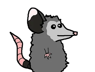 PossumEyedJo