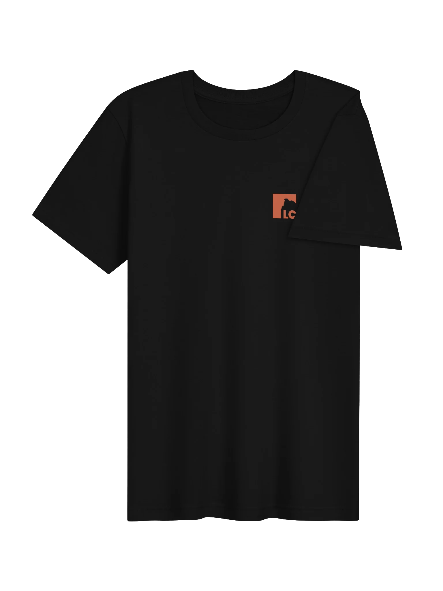 LCtoday Logo Tee - Black product image (4)