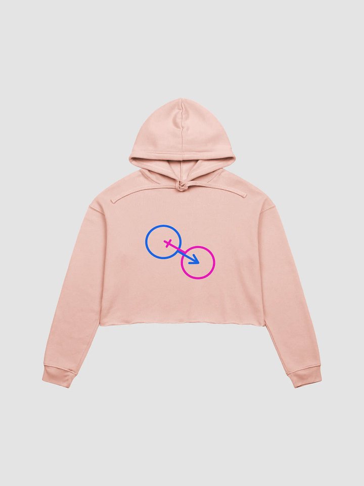 Embracing The Norm Crop Hoodie product image (1)