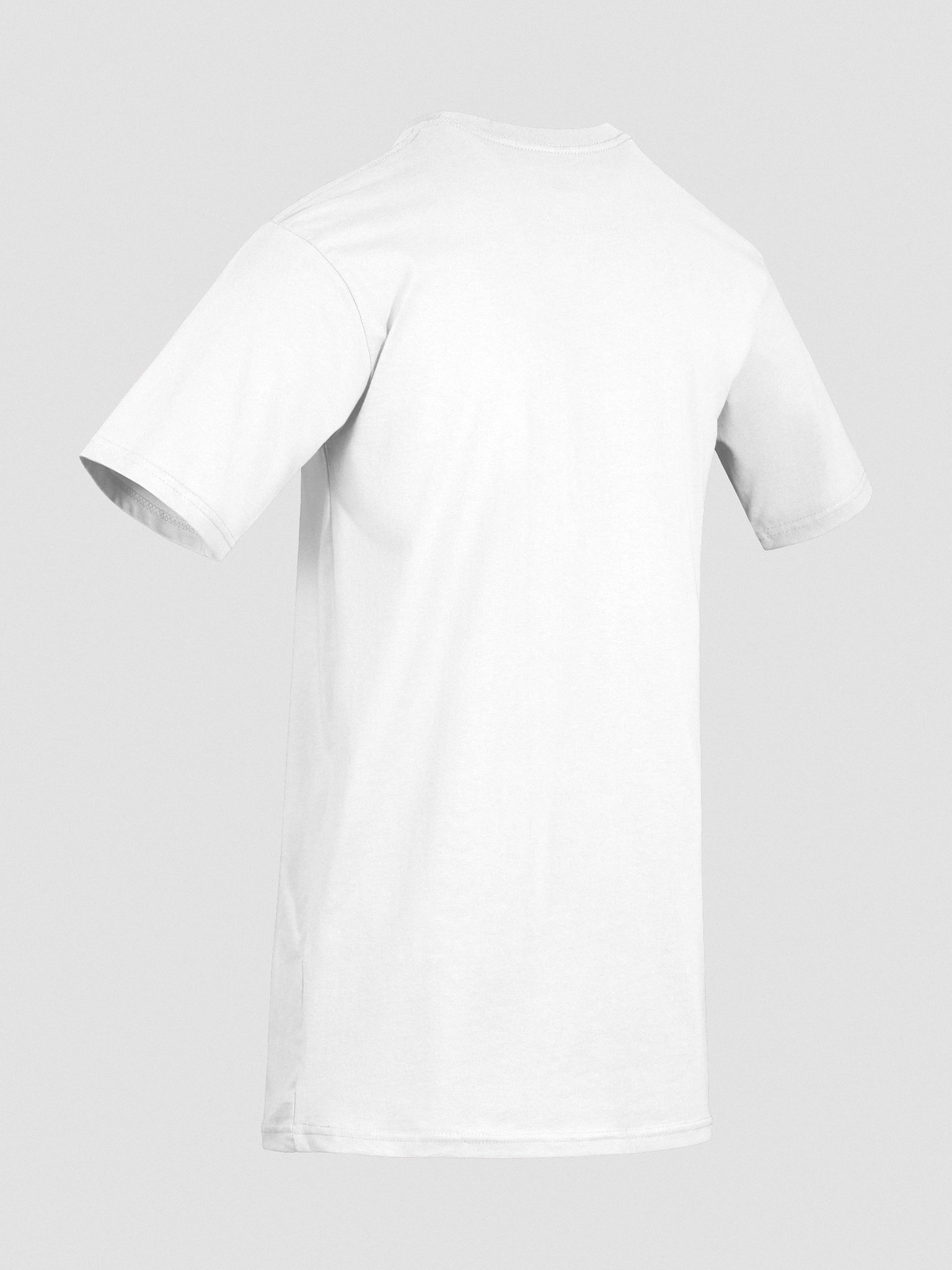 THE DELEGATE - COTTON T-SHIRT product image (10)