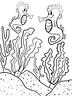 TSStechAngel's World - SeahorseBuddies Coloring Page