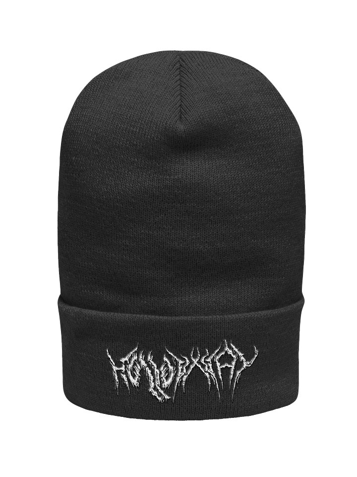 HOLLOWxWAY Cuffed Beanie product image (1)