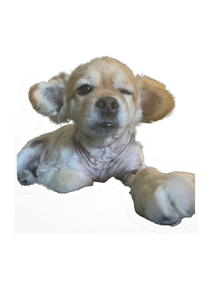 I'm going to hold your hand when I say this product image (3)