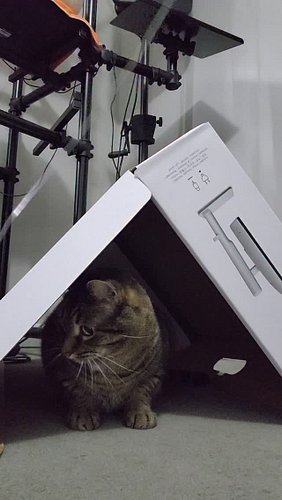 T-Boi made this box into a hunting blind. I bought that monitor in September, but the box remains. What kind of box does your...