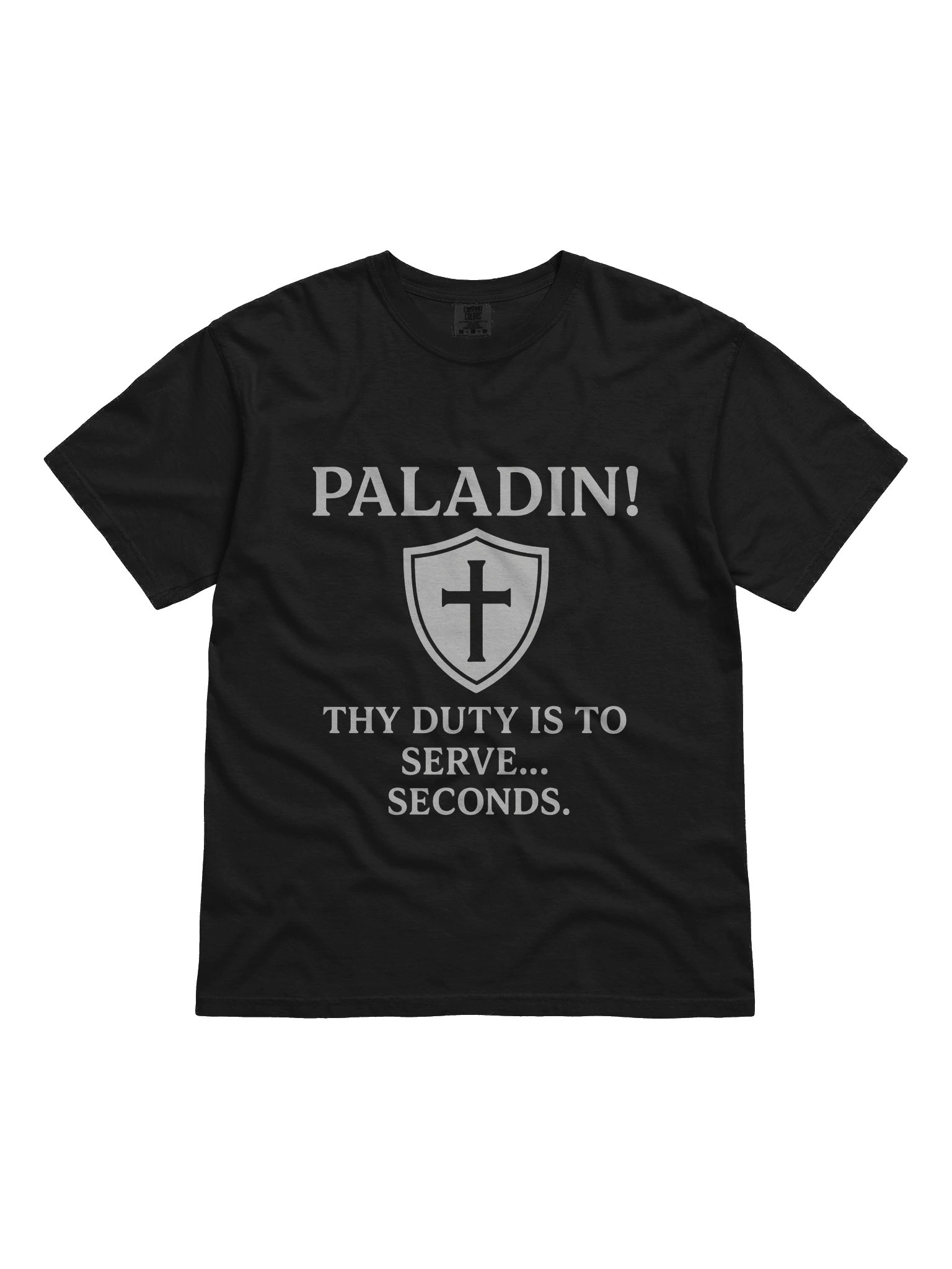 PALADIN product image (13)