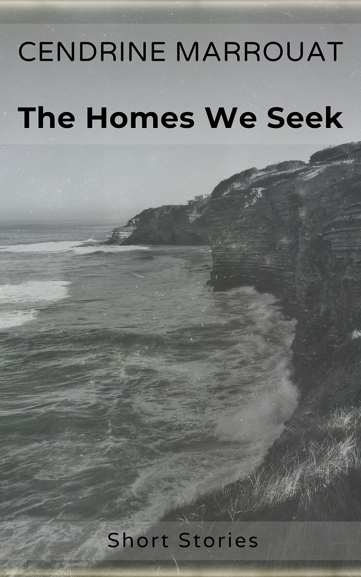 The Homes We Seek product image (1)