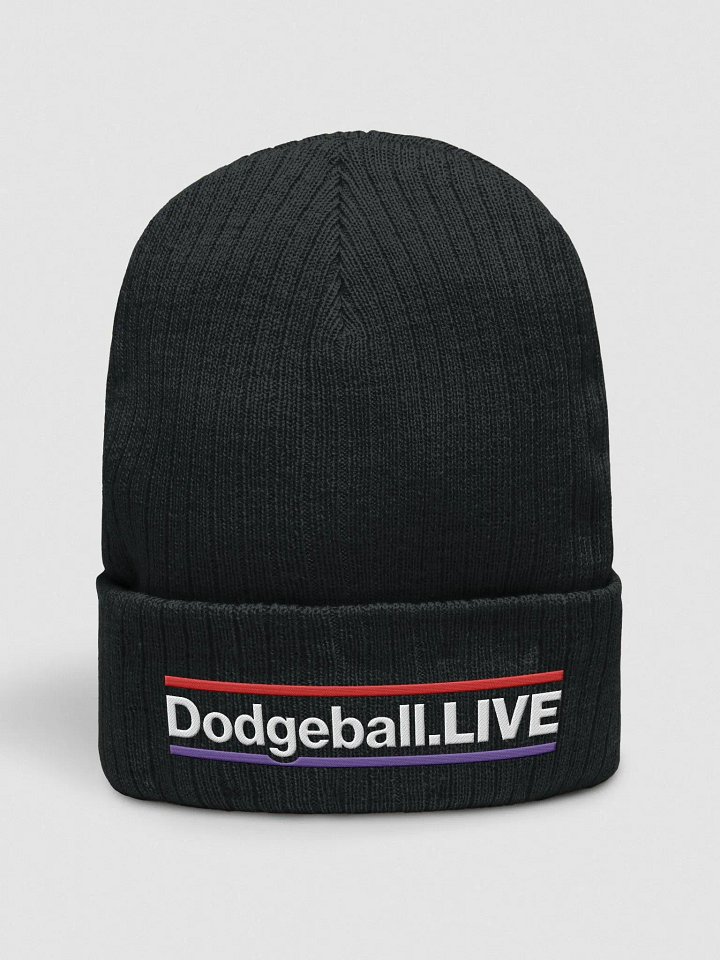 Dodgeball.LIVE HZ Knitted Toque (Light) product image (1)