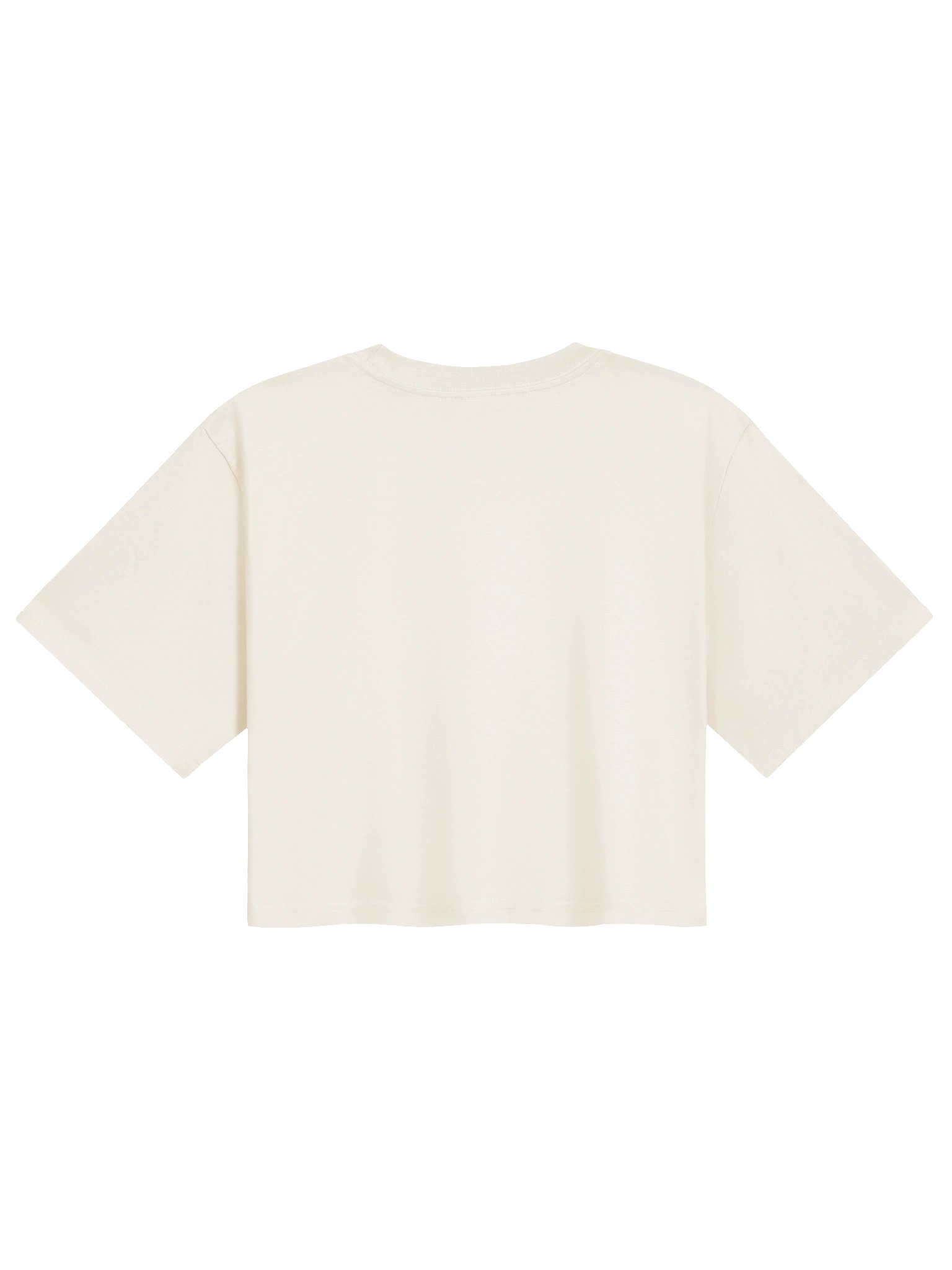 Run from Toxic Men Crop Tee product image (10)