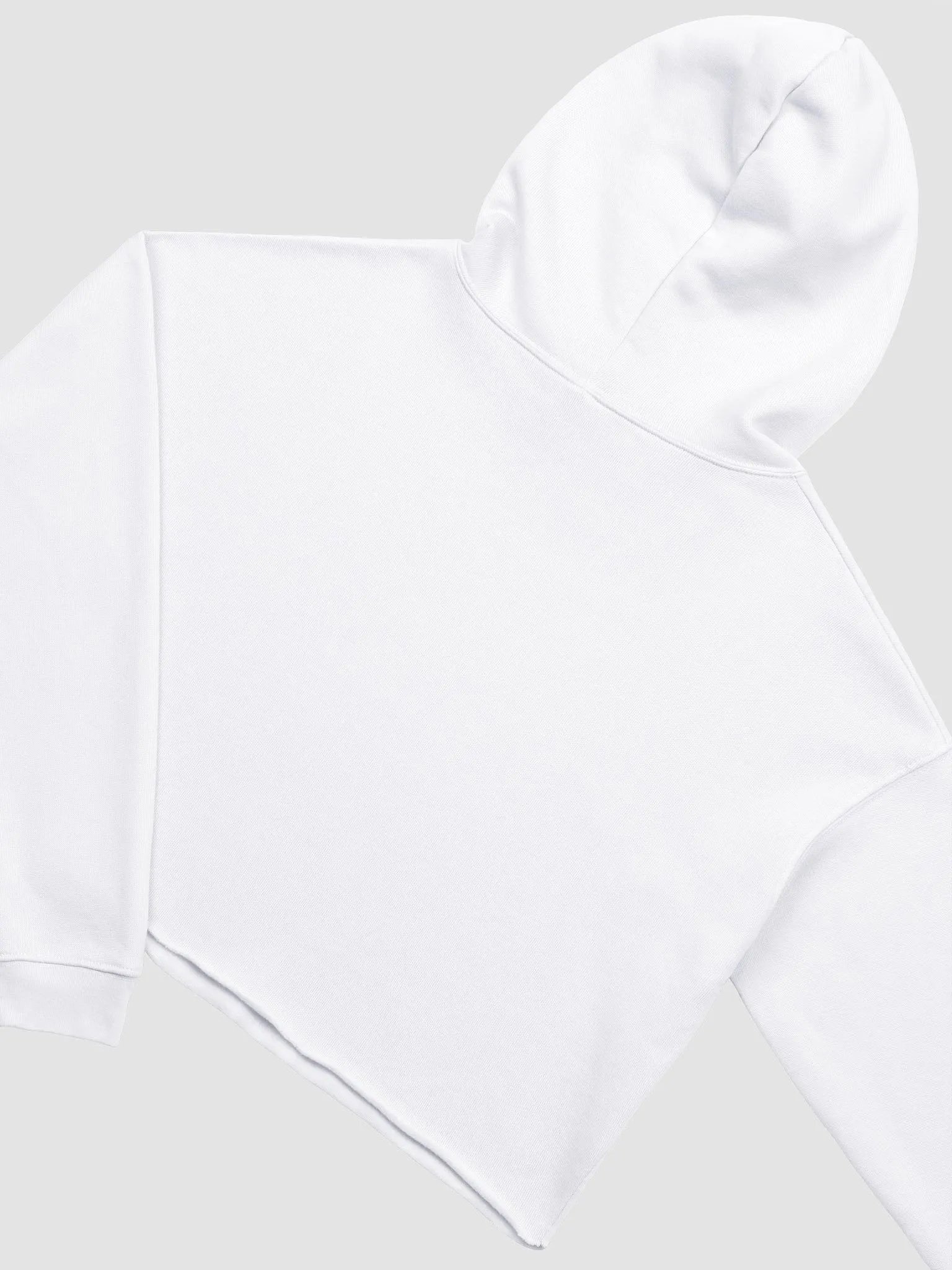 got rizz? Canvas Fleece Crop Hoodie product image (4)