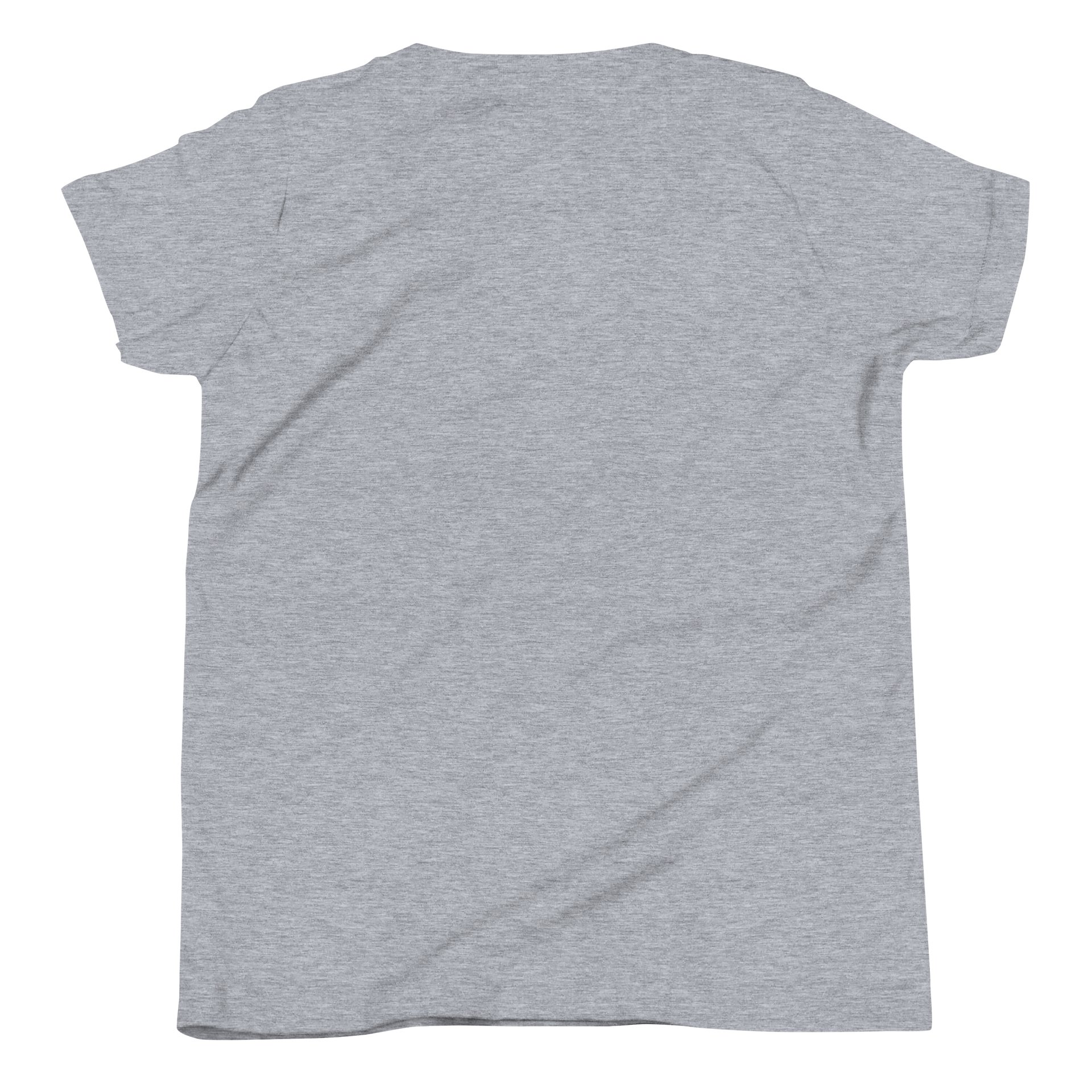 Gentle Friend Stegosaurus - Kids Tee product image (34)