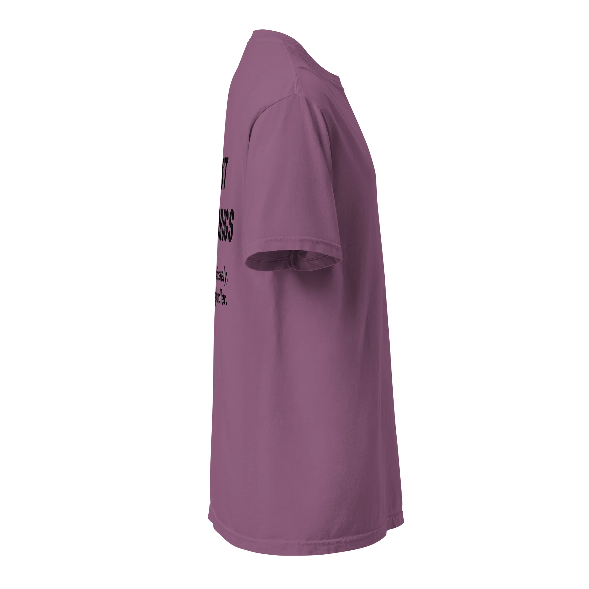 Oversized Heavyweight Cotton T product image (21)