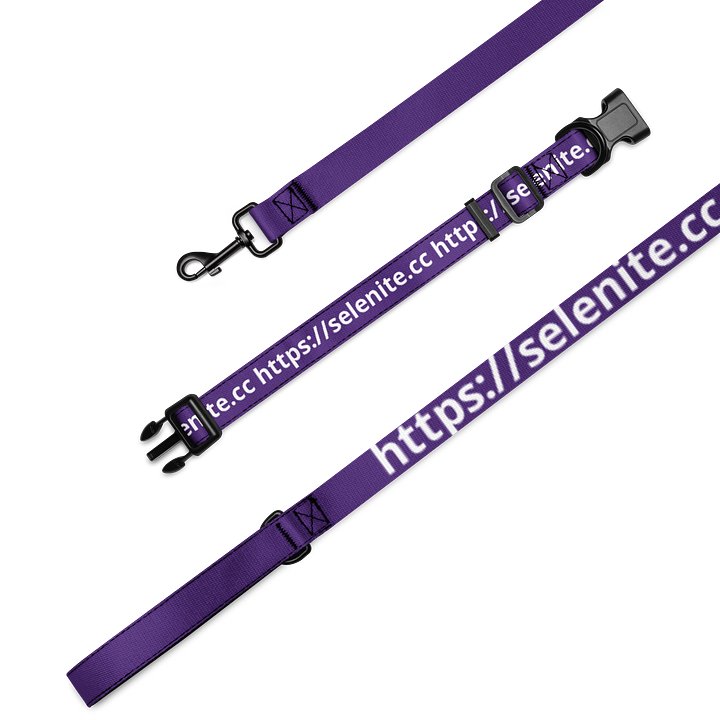 Selenite Leash and Collar product image (2)