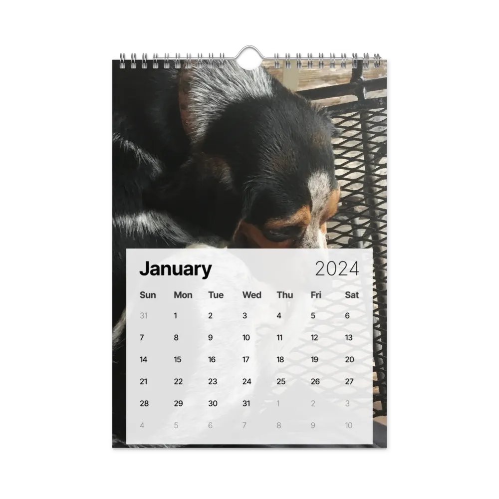 sunsmile year product image (6)