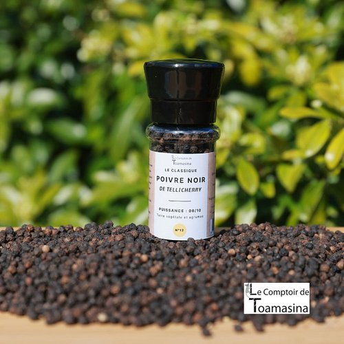 🌶️ Le poivre de Tellicherry, le roi des poivres noirs !

Originaire du Kerala en Inde, berceau historique du poivre, le poivr...