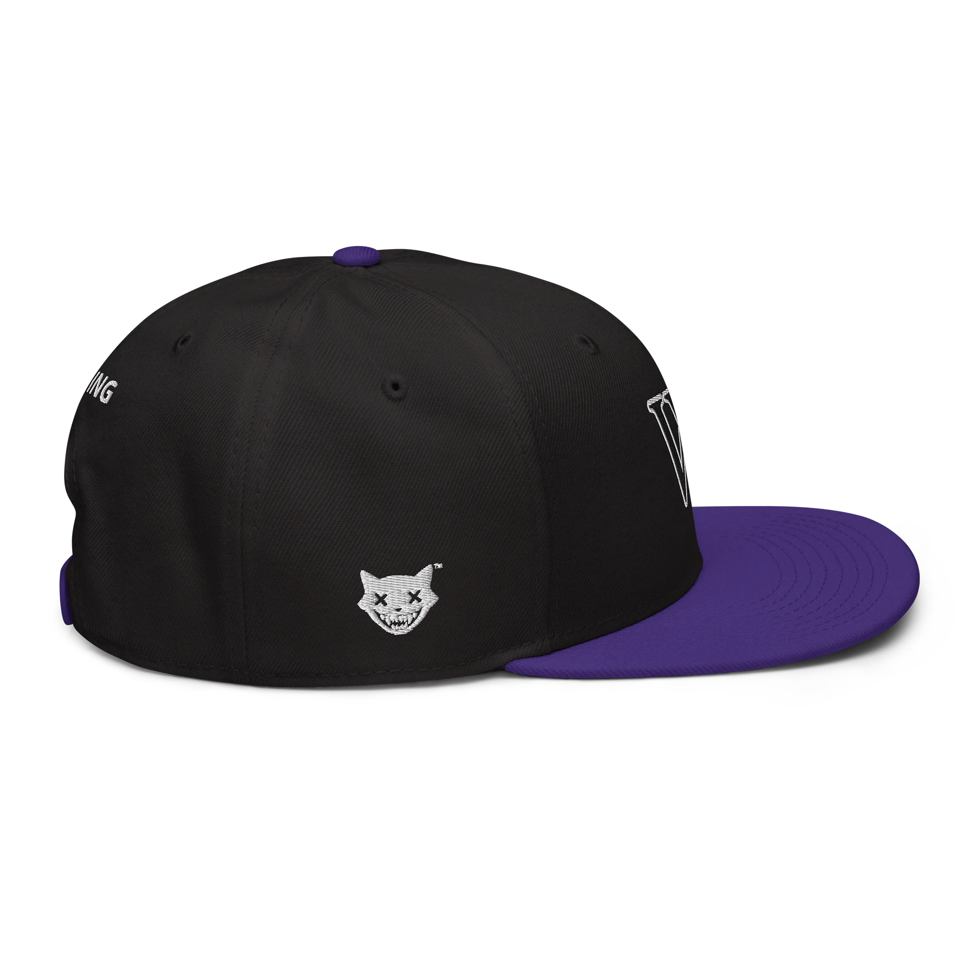 CLASSIC VY VYNING SnapBack product image (5)