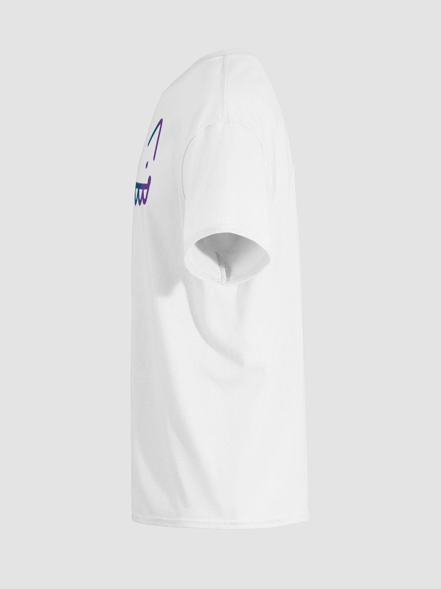 Minimal Rainbow Fox T-Shirt product image (11)
