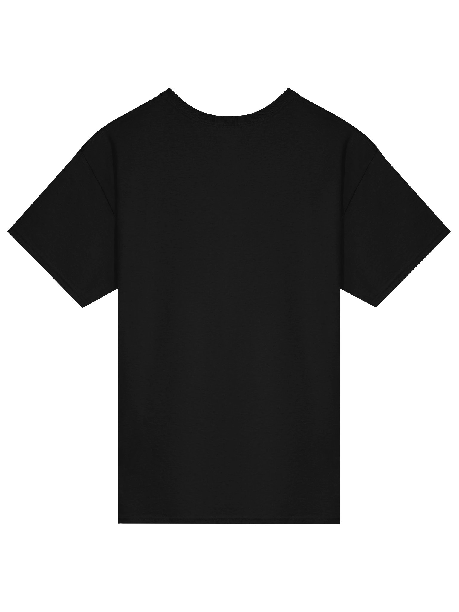 LIONSTAR product image (2)