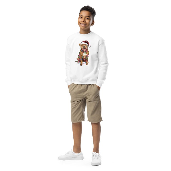 Funny Christmas American Pitbull Terrier(Red) Youth Sweatshirt product image (1)