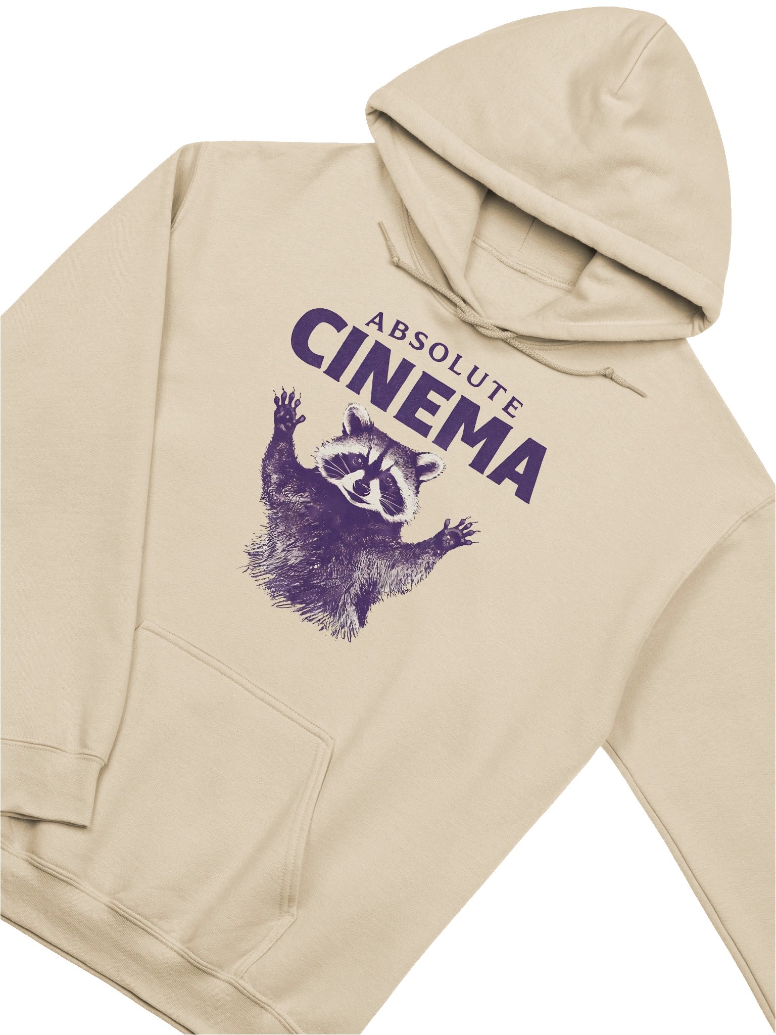 Absolute Cinema Raccoon Meme Graphic Hoodie product image (3)