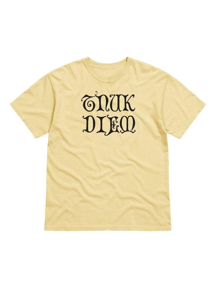TNUK DIEM - HEAVYWEIGHT T-SHIRT product image (6)