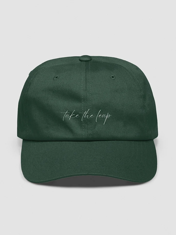 ‘TAKE THE LEAP’ EMBROIDERED DAD HAT product image (2)