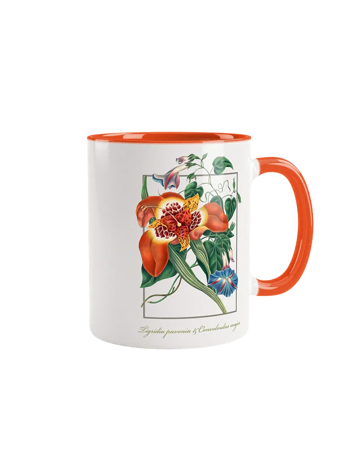 Mexican Tiger-flower, (Tigridia pavonia), and blue Convolvulus major - Ceramic mug product image (1)