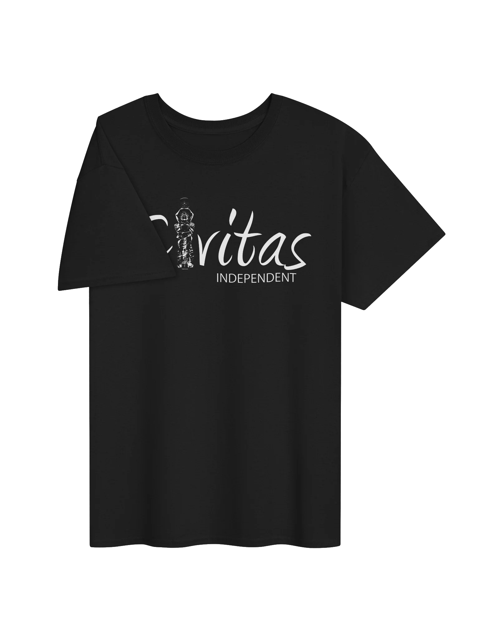 Logo T-Shirt (White Logo) product image (3)