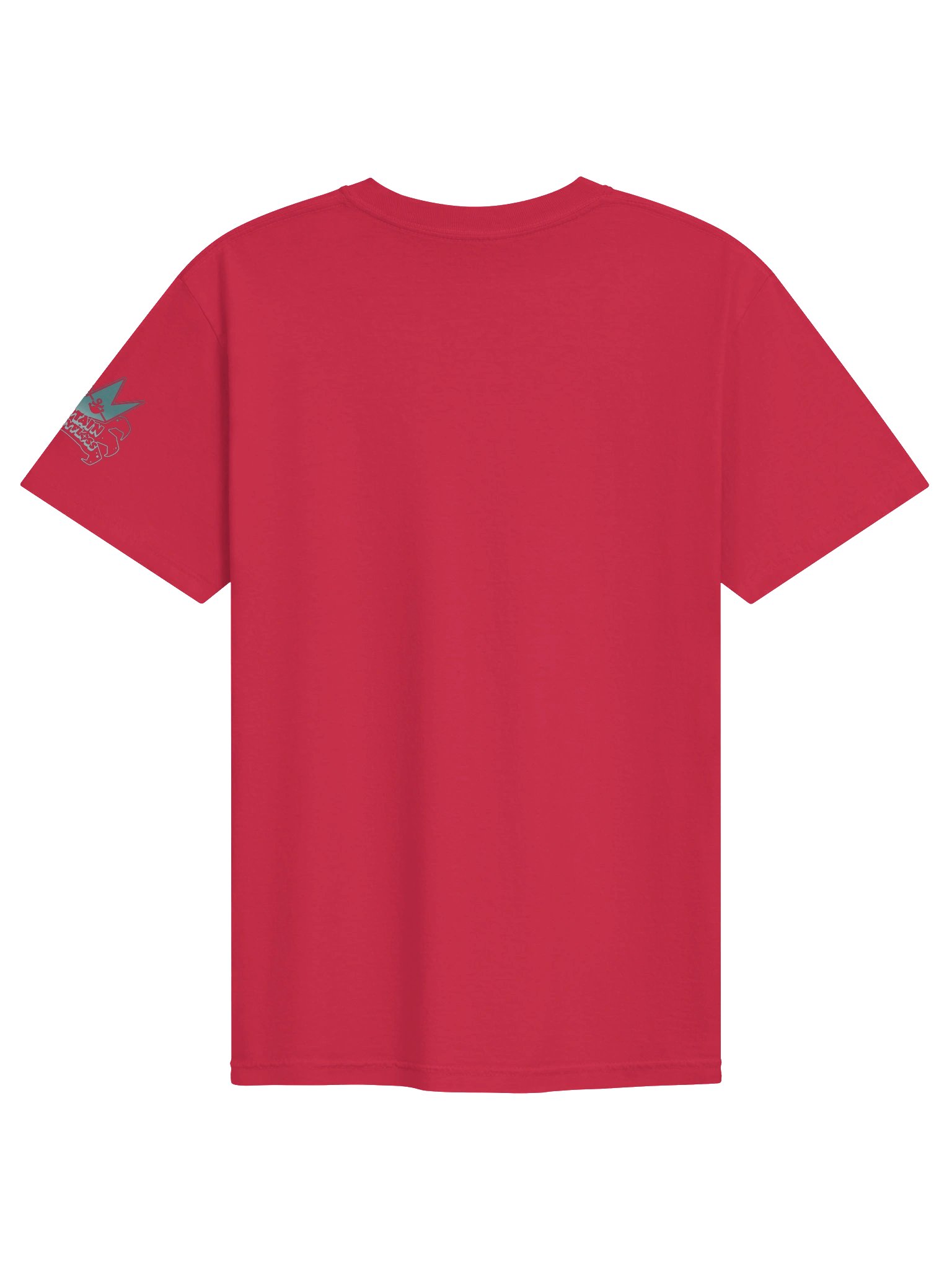 Tummy Ache Survivor t-shirt product image (34)