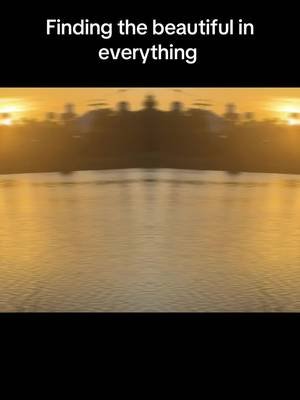 #traveltok #authorslife #sunset #wdw #fyp