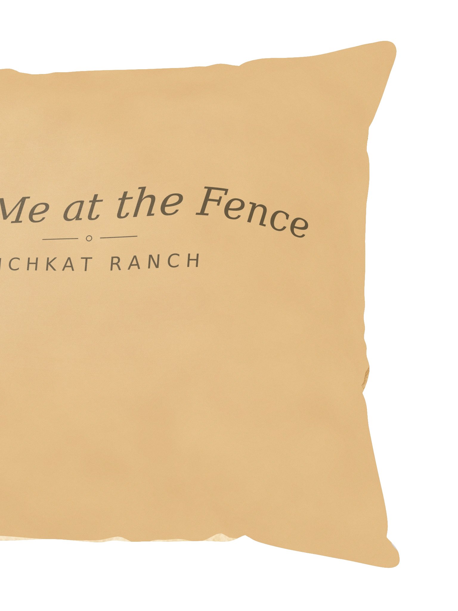 Meet Me at the Fence — Cabo & Delilah Pillow product image (2)