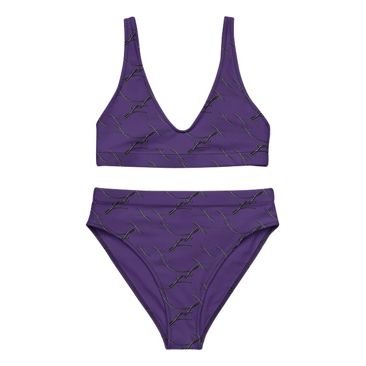 Purple Noir | High Waisted Bikini product image (2)