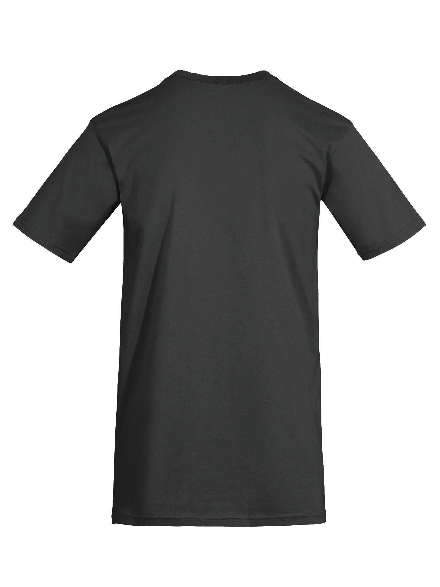 Eroomill Men's Premium Heavyweight Tee product image (9)