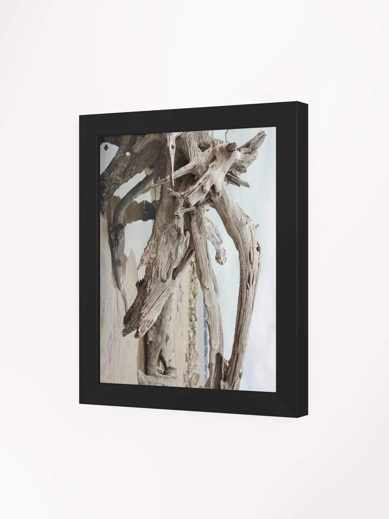 Driftwood product image (6)